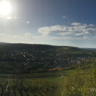 Wanderung-2019-7